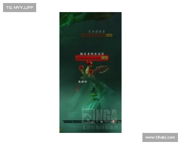 捕捉稀有宠物的最佳策略与技巧全解析帮助你成为宠物猎人高手 捕捉稀有宠物的最佳策略与技巧全解析帮助你成为宠物猎人高手