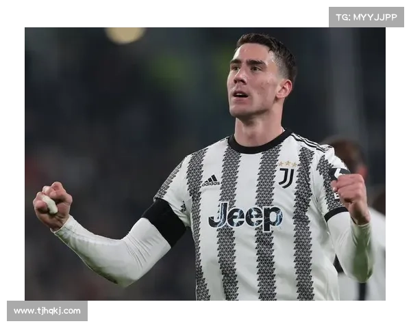 弗拉霍维奇如何突破低谷重返巅峰解析与成功之路