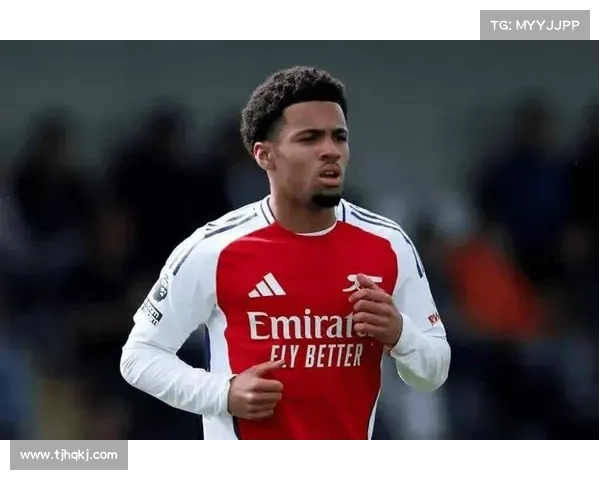 恩瓦内里崛起背后的关键因素分析与发展路径探讨 恩瓦内里崛起背后的关键因素分析与发展路径探讨